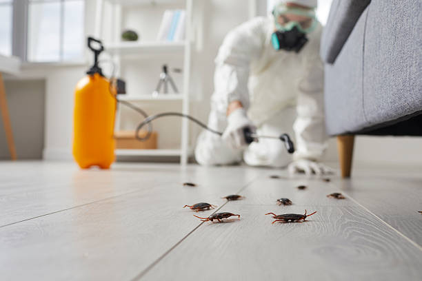 Post-Treatment Bed Bug Interceptor Monitoring in Cherokee